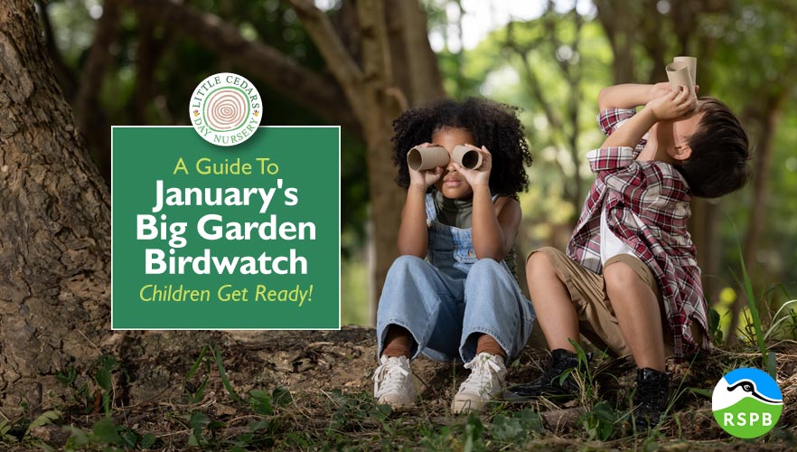 A Guide to January's Big Garden Birdwatch – Children Get Ready!