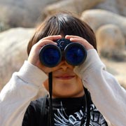 The Big Garden Birdwatch is a great way to introduce children to the concept of conservation as well as getting them interested in spending time closer to nature.