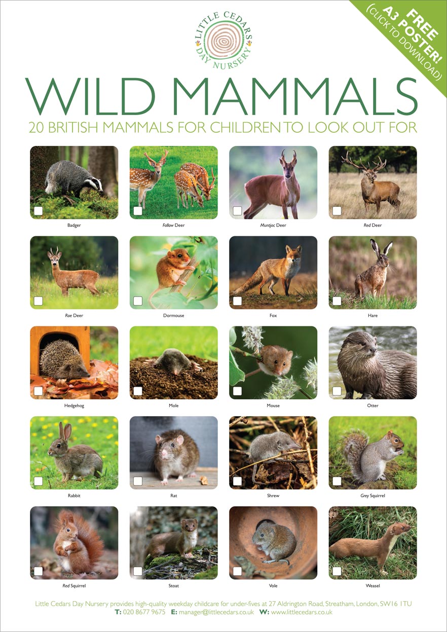 Free Wild Mammals Poster for Under-5s — & World Wildlife Day Free Wild Mammals Poster for Under-5s — & World Wildlife Day