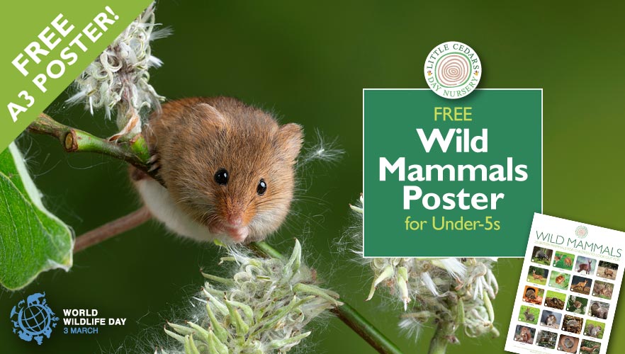 Free Wild Mammals Poster for Under-5s — & World Wildlife Day