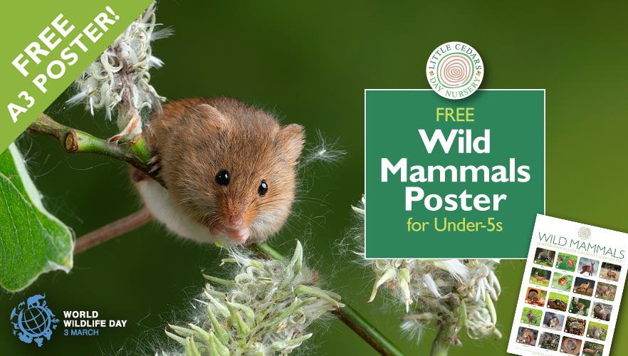 Free Wild Mammals Poster for Under-5s — & World Wildlife Day Free Wild Mammals Poster for Under-5s — & World Wildlife Day