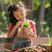 Creating a mini garden is hugely worthwhile, fun, and educational for children.