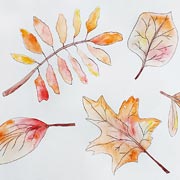 Leaves can inspire artwork. Leaves can inspire artwork.