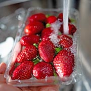 Always thoroughly wash vegetables, fruit and salads before use.