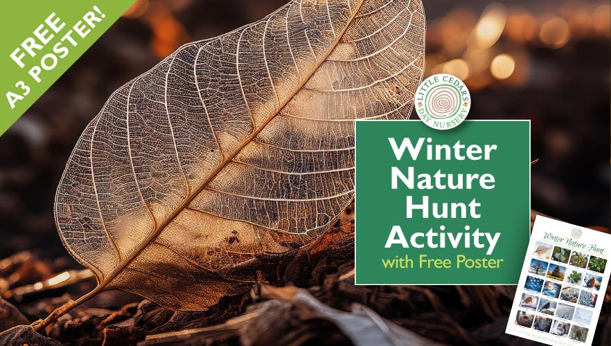 Winter Nature Hunt Activity – with Free Reference Poster for Kids Winter Nature Hunt Activity – with Free Reference Poster for Kids