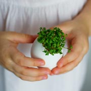 Engage children with easy science experiments, like planting seeds and watching them grow Engage children with easy science experiments, like planting seeds and watching them grow