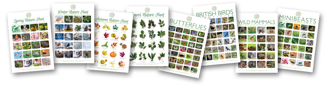 Free nature activity posters for children to download. Free nature activity posters for children to download.