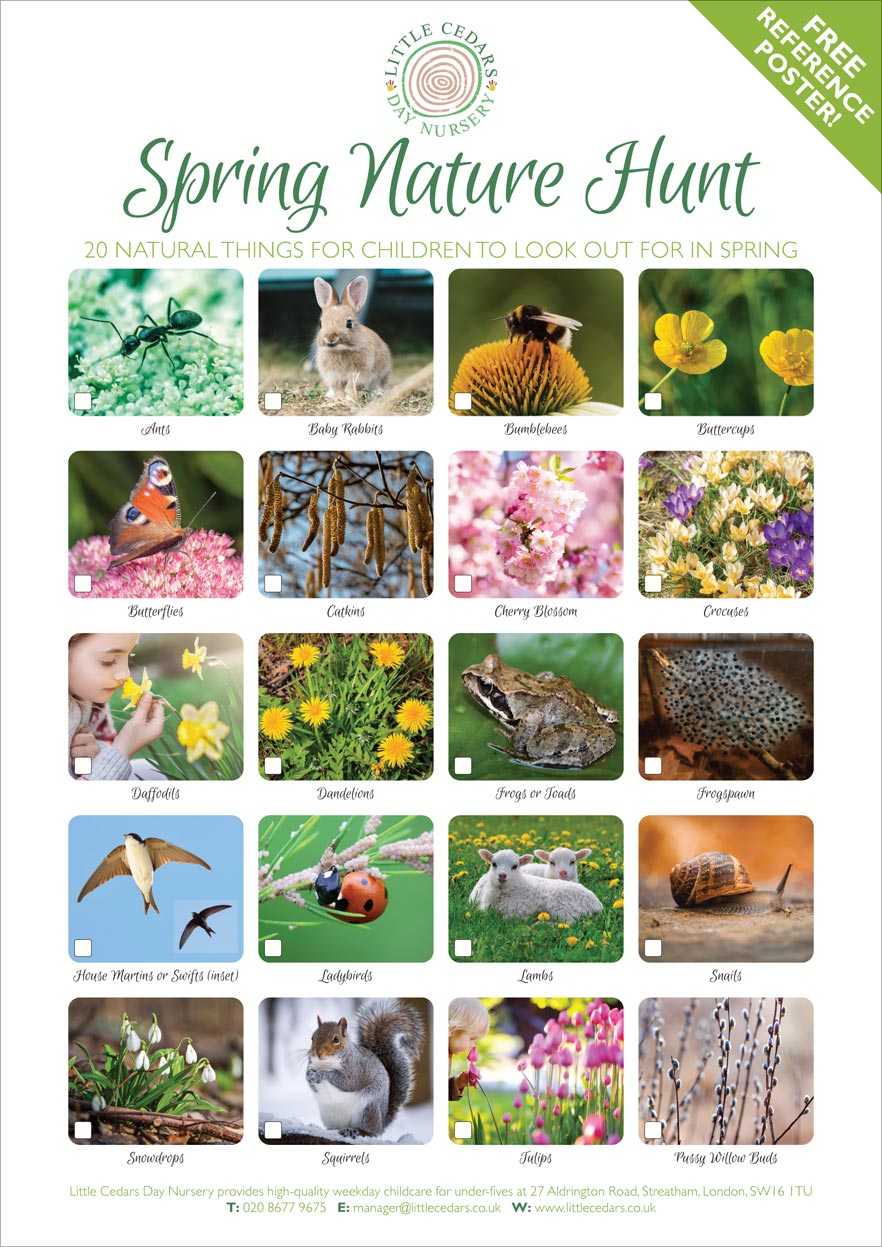 Preview of the Spring Nature Hunt activity poster - free to download. Preview of the Spring Nature Hunt activity poster - free to download.