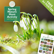 Spring Nature Hunt Activity for Children - with Free Reference Poster!
