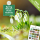 Spring Nature Hunt Activity for Children - with Free Reference Poster!