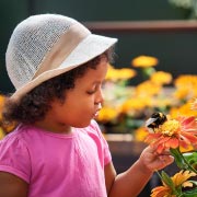 A fabulous way for children to get involved in World Bee Day – and to help bees – is to make a bee-friendly wildflower garden.