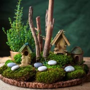 A whimsical and magical-looking fairy garden made from moss, pebbles, and sticks. A whimsical and magical-looking fairy garden made from moss, pebbles, and sticks.
