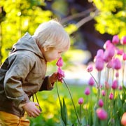 Young children are naturally drawn to the activities that involve flowers and plants. Young children are naturally drawn to the activities that involve flowers and plants.