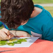 Using beech leaves arranged in a circle, children can create a flower or even a peacock as in this example.