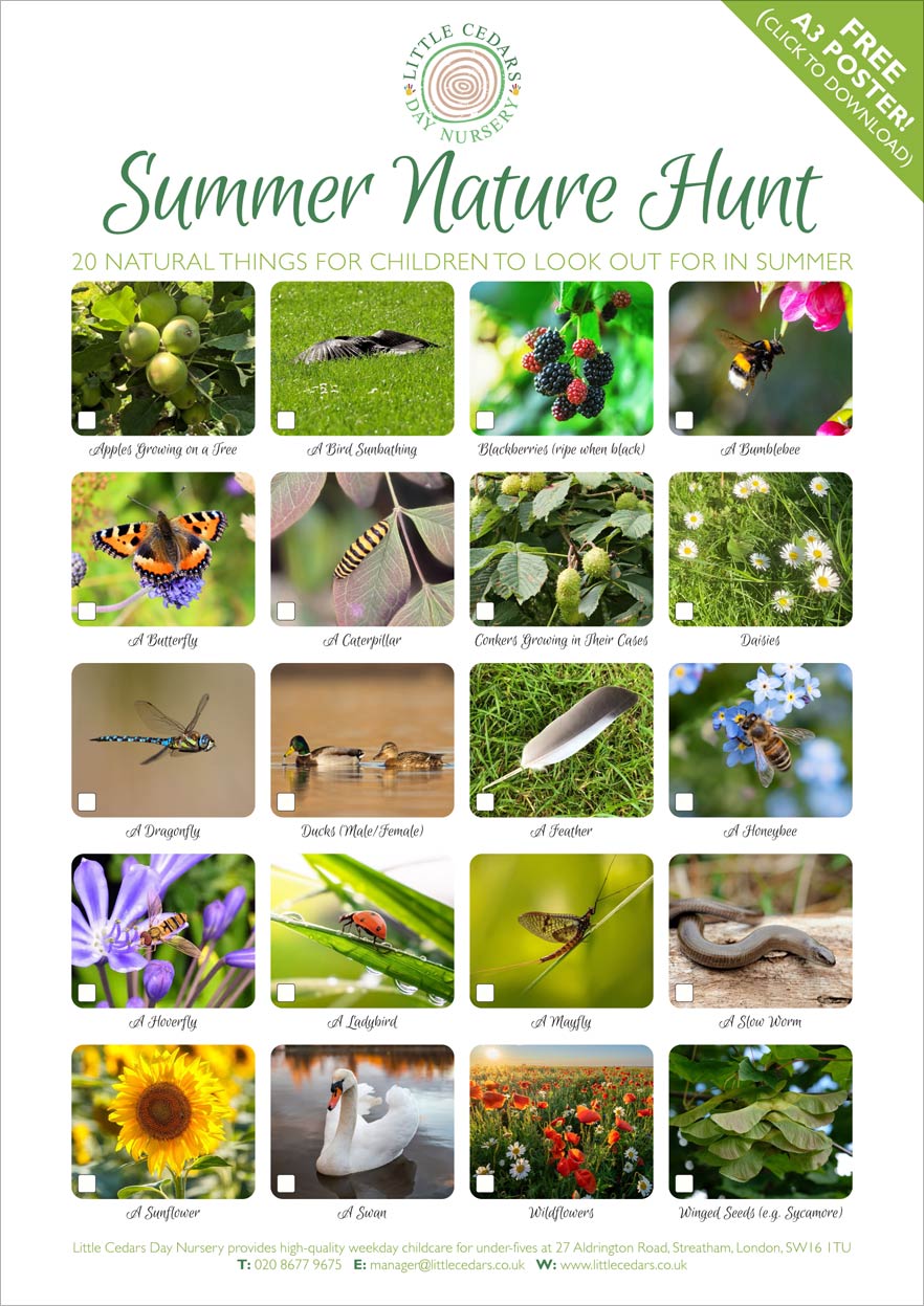 Preview of your free ‘Summer Nature Hunt’ reference poster - left/right-click to view/download (PDF format, 2MB). Preview of your free ‘Summer Nature Hunt’ reference poster - left/right-click to view/download (PDF format, 2MB).