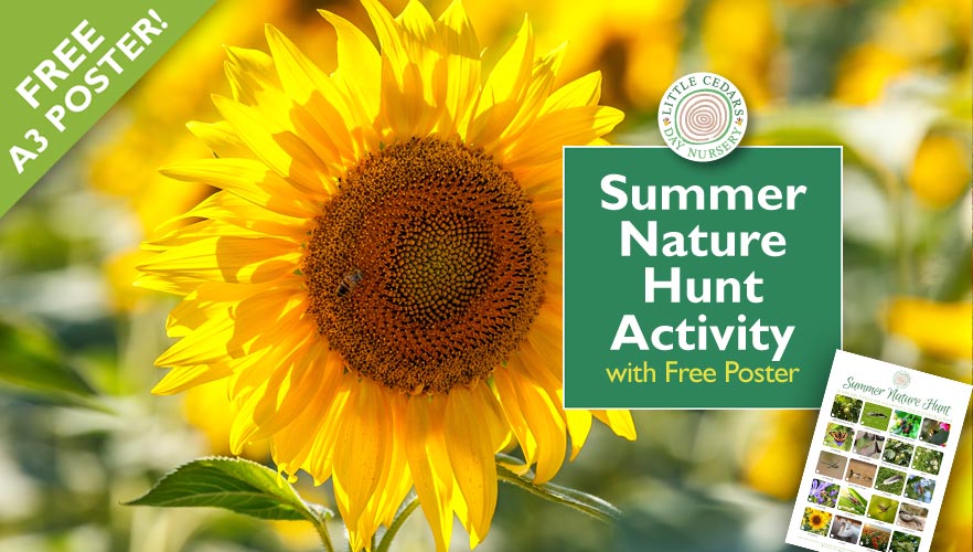 Summer Nature Hunt Activity for Children – with Free Reference Poster! Summer Nature Hunt Activity for Children – with Free Reference Poster!