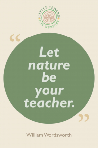 Let nature be your teacher.