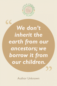 We don't inherit the earth from our ancestors; we borrow it from our children.