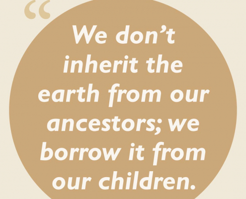 We don't inherit the earth from our ancestors; we borrow it from our children.