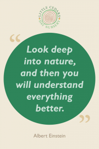 Look deep into nature, and then you will understand everything better.