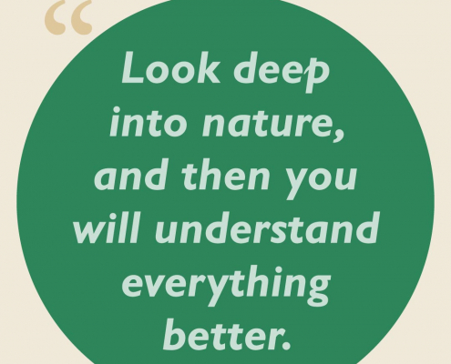 Look deep into nature, and then you will understand everything better.