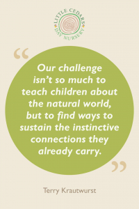 Our challenge isn't so much to teach children about the natural world, but to find ways to sustain the instinctive connections they already carry.