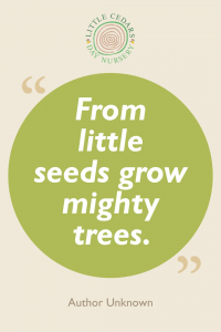 From little seeds grow mighty trees.