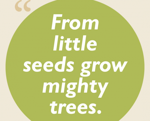 From little seeds grow mighty trees.