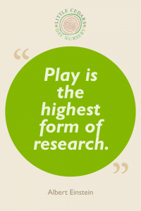 Play is the highest form of research.