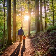 Special childhood moments teach children that magic is woven into the everyday world — they just have to stop a while and notice it sometimes.