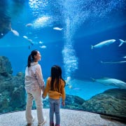 Magical childhood moments often become emotional landmarks that help shape optimism and emotional well-being long after childhood ends.