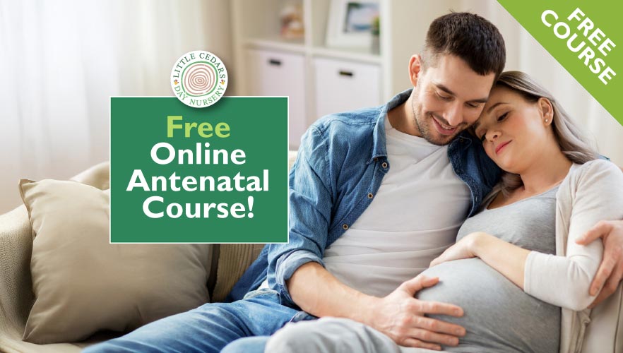 Free Online Antenatal Course! Free Online Antenatal Course!